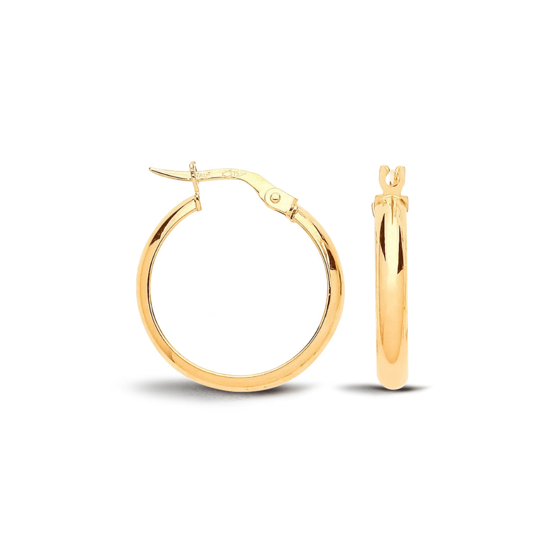 Gold Hoop earrings